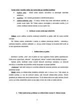 Konspekts 'Mainīguma nosacītība un aktīvā subjekta atgriešanās. Riska sabiedrības jēdziens', 4.