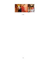 Konspekts 'Viesnīcas ar neparastiem pakalpojumiem', 14.