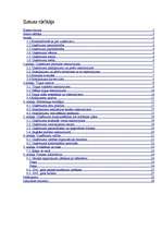 Biznesa plāns 'Suvenīru veikala biznesa plāns', 3.