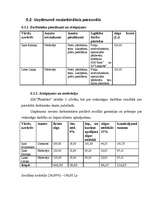 Biznesa plāns 'Suvenīru veikala biznesa plāns', 22.