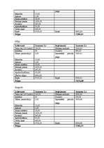 Biznesa plāns 'Suvenīru veikala biznesa plāns', 25.