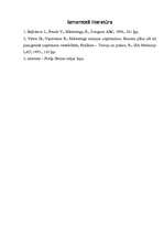 Biznesa plāns 'Suvenīru veikala biznesa plāns', 29.