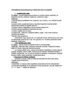 Konspekts 'Fizioterapija traumatoloģijā un ortopēdijā', 19.