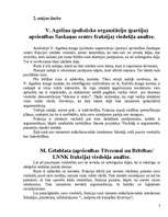 Eseja 'Laikraksta sleju pozitīvā un negatīvā analīze', 3.