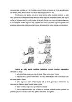 Referāts 'Baltijas jūras krasta erozija Kurzemes piekrastē - Pāvilostā', 4.