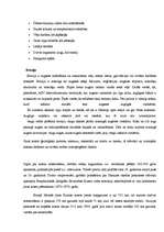 Referāts 'Baltijas jūras krasta erozija Kurzemes piekrastē - Pāvilostā', 6.