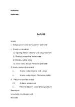 Referāts 'Baltijas jūras krasta erozija Kurzemes piekrastē - Pāvilostā', 21.