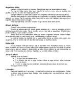 Konspekts 'Komandu spēles un aktivitātes', 8.