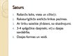 Prezentācija 'Antīkās lirikas rašanās', 2.