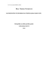 Paraugs 'Laboratorijas darbi. Datorgrafika', 11.