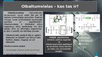Prezentācija 'Olbaltumvielas', 2.