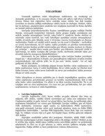 Referāts 'Kam piederēja un kam nepiederēja vara Latvijā – varas patvaļas 10 gadu hronika (', 14.