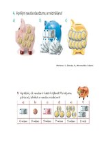 Konspekts 'Konspekts integrēšanā', 14.