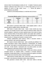 Referāts 'Elektroniskās komercijas novērtējums "BTA Insurance Company" SE', 8.