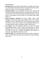 Referāts 'Elektroniskās komercijas novērtējums "BTA Insurance Company" SE', 18.