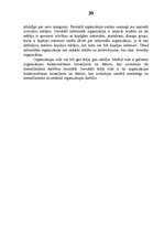 Konspekts 'Ražošanas organizāciju veidi un to salīdzinājuma raksturojums', 20.