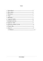 Biznesa plāns 'SIA "Esonep"', 2.