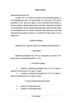 Biznesa plāns 'SIA "Esonep"', 4.