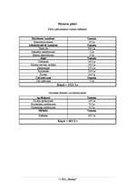 Biznesa plāns 'SIA "Esonep"', 11.