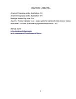 Referāts 'Vides dizaina elementu vēsture un evolūcija Vērmanes parkā no 1817.gada līdz mūs', 9.