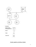 Prakses atskaite 'Sociālā gadījuma prakse', 11.