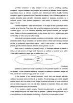 Referāts 'Zināšanu un prasmju nozīme mūsdienās Latvijā', 4.