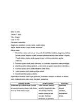 Prakses atskaite 'Integrētā prakse sākumskolā', 13.