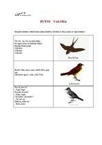 Prakses atskaite 'Integrētā prakse sākumskolā', 20.