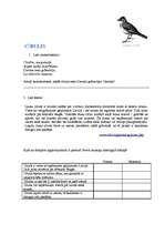 Prakses atskaite 'Integrētā prakse sākumskolā', 22.