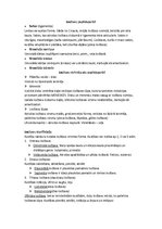 Konspekts 'Locītavas un kauli', 1.