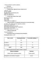 Biznesa plāns 'SIA „Pilsētas stāvvieta”', 1.