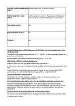 Biznesa plāns 'SIA „Pilsētas stāvvieta”', 4.