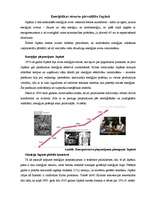 Referāts 'Enerģētikas resursu pārvaldība Islandē un Japānā - kopīgais un atšķirīgais', 6.