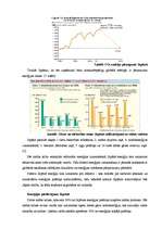 Referāts 'Enerģētikas resursu pārvaldība Islandē un Japānā - kopīgais un atšķirīgais', 7.