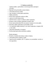 Prakses atskaite 'Prakses atskaite SIA X grāmatvedības uzņēmums', 7.