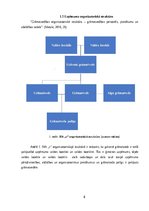 Prakses atskaite 'Prakses atskaite SIA X grāmatvedības uzņēmums', 8.