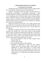 Prakses atskaite 'Prakses atskaite SIA X grāmatvedības uzņēmums', 11.