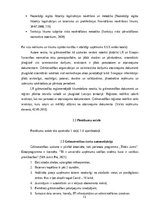 Prakses atskaite 'Prakses atskaite SIA X grāmatvedības uzņēmums', 13.