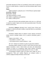 Prakses atskaite 'Prakses atskaite SIA X grāmatvedības uzņēmums', 17.