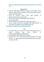 Prakses atskaite 'Prakses atskaite SIA X grāmatvedības uzņēmums', 42.