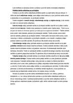 Referāts 'Tiesību jēdziens un to pamatpazīmes', 5.