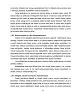 Referāts 'Naudas piedāvājuma analīze', 13.