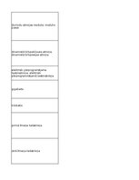 Konspekts 'Technologies - terminology bank', 18.