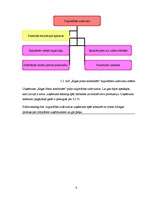 Referāts 'A/S "Rīgas Piena kombināts" preču izpēte', 9.
