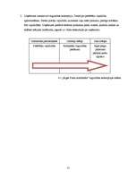 Referāts 'A/S "Rīgas Piena kombināts" preču izpēte', 11.