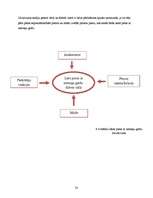 Referāts 'A/S "Rīgas Piena kombināts" preču izpēte', 19.