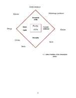 Referāts 'A/S "Rīgas Piena kombināts" preču izpēte', 22.