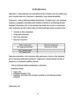 Referāts 'A/S "Rīgas Piena kombināts" preču izpēte', 24.