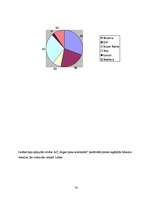 Referāts 'A/S "Rīgas Piena kombināts" preču izpēte', 34.