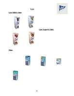 Referāts 'A/S "Rīgas Piena kombināts" preču izpēte', 44.